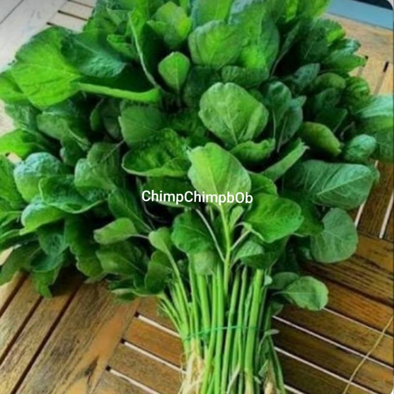 

BAYAM AKAR / LOCAL SPINACH FRESH