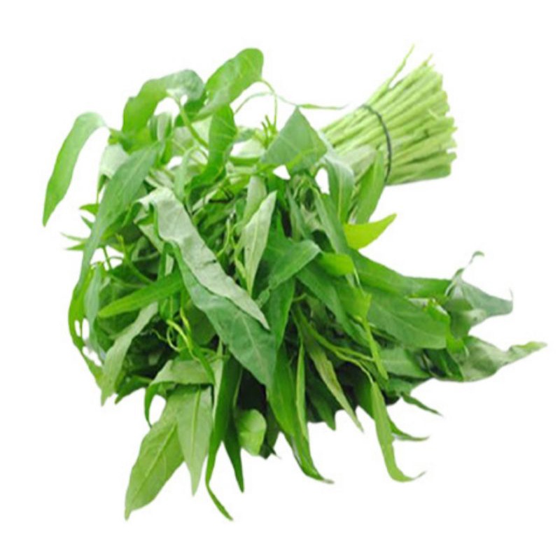 

kangkung