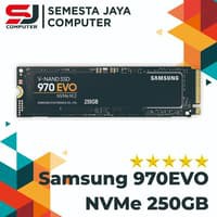 Samsung Evo 970 SSD Solid State Driver Nvme M.2 250 Gb