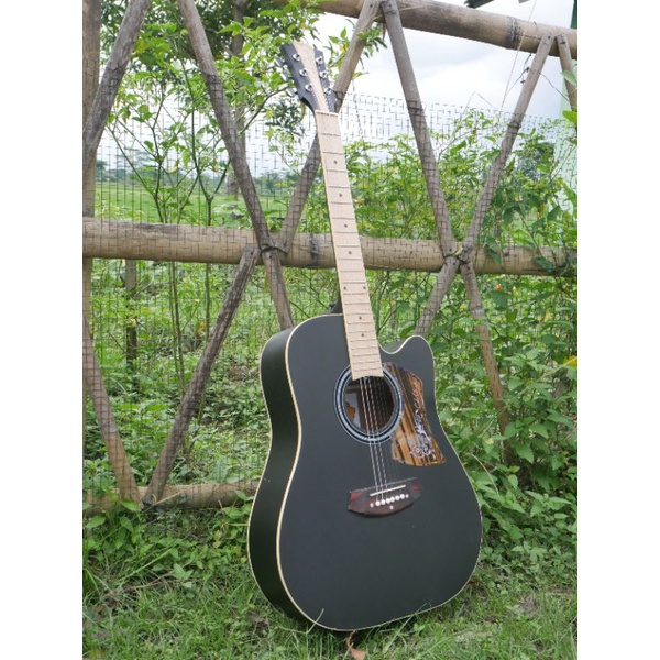 Gitar Akustik Cole Clark Custom Tanam Besi Gratis Packing Kayu