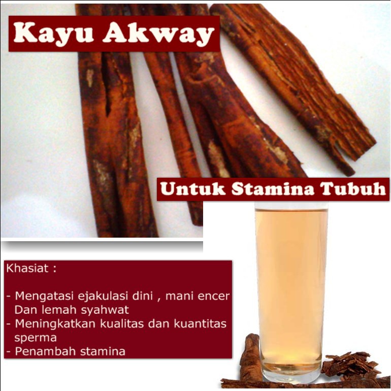 1gr Kayu Akway Untuk Meningkatkan Stamina Pria Indonesia