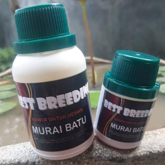 BEST BREEDING MURAI BATU