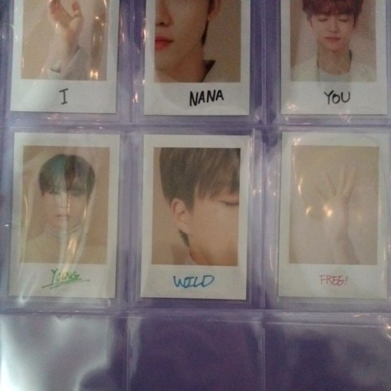 pola sg20 jeno (booked)