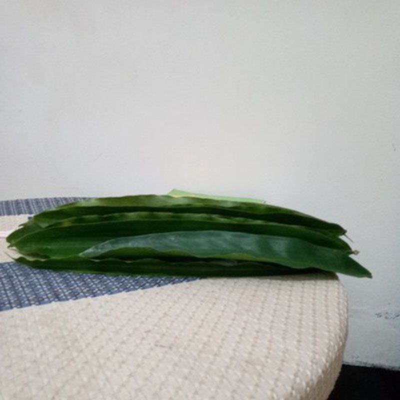 

Daun kayu walang 50 gram