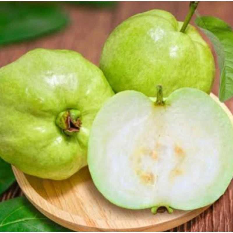 

Jambu Kristal empuk Fresh perkilo