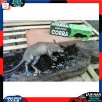 Lem Tikus / Jebakan Tikus / Cobra / Lem Tikus Cobra Super Lengket Ampuh &amp; Berkualitas  Best Seller