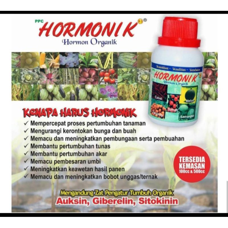 PAKET POC+HORMONIK+VITERNA NASA