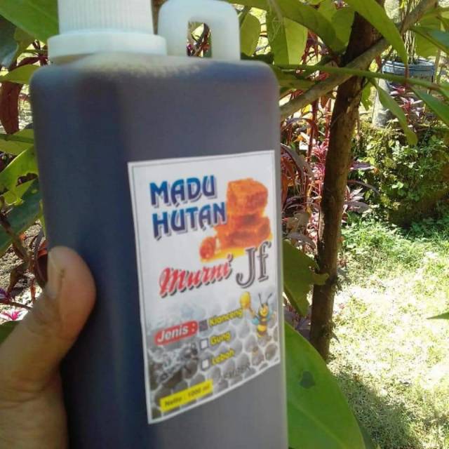 

Madu hutan murni madu alas 1l 1 liter