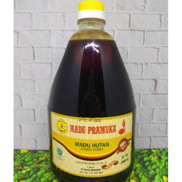 

Madu hutan atau lebah liar dari madu pramuka 2000ml atau 2liter