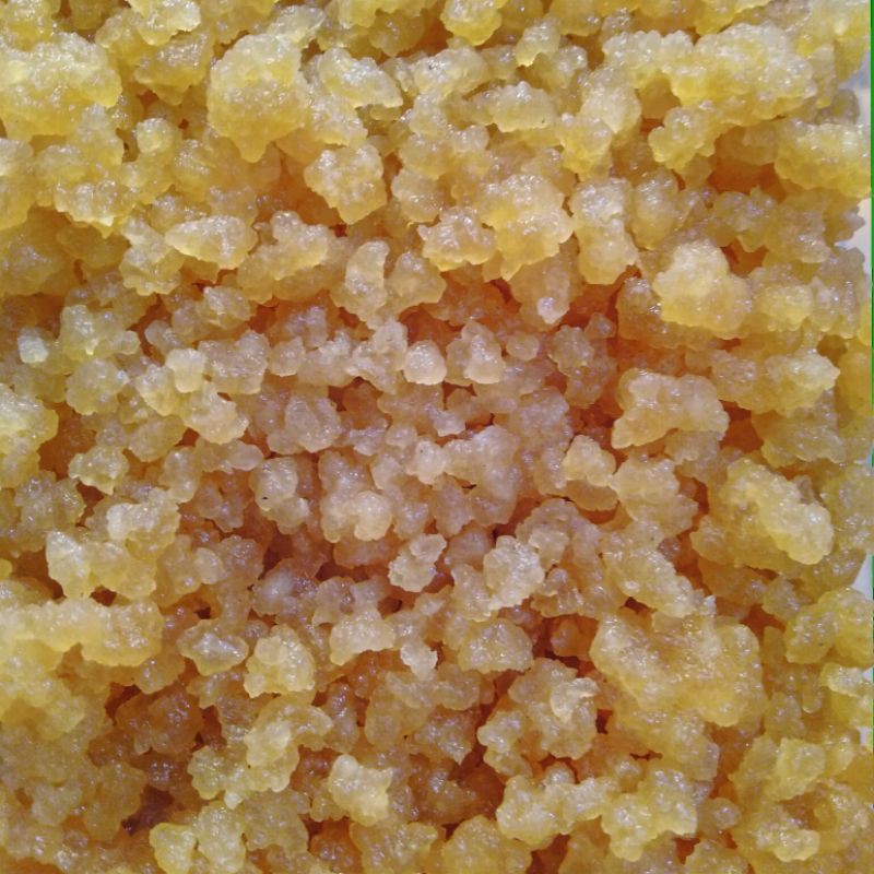 

teratai salju himalaya asli/ 500 gram