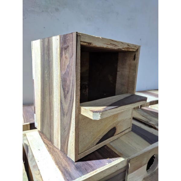 Glodok Burung Murai Glodok Jalak Bonus Sarang