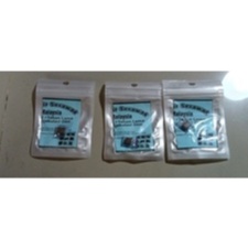 GAMBIR SERAWAK PADAT SIAM SANGAT AMPUH 