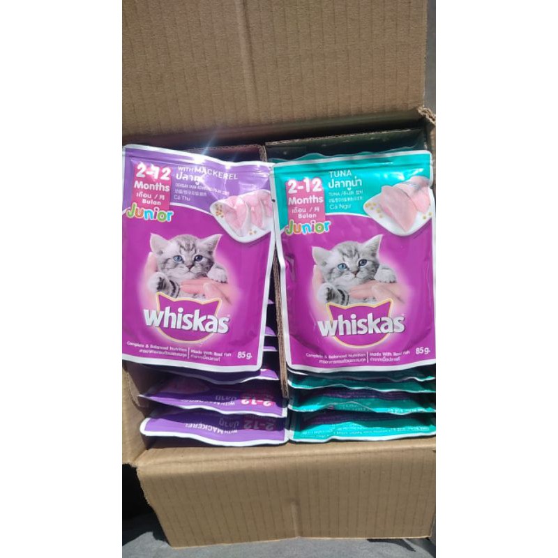 whiskas junior