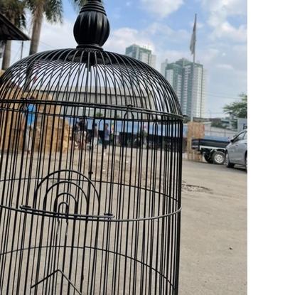 ✲ SANGKAR LOVEBIRD PANDA CC - sangkar burung kenari lovebird parkit ♔