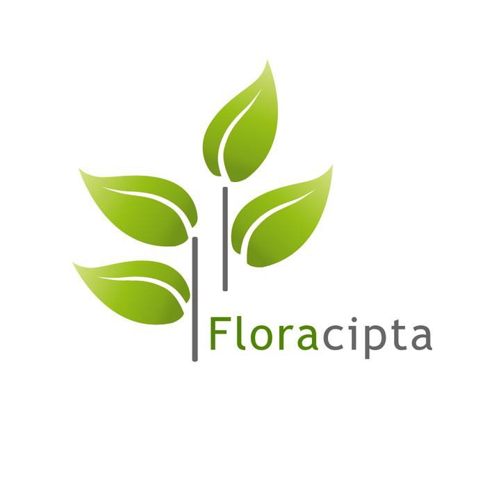 Kliwon Bibit Pohon Buah Nangka Mini - Tanaman Buah Nangka Mini