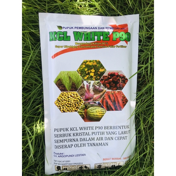 KCL WHITE || PUPUK PEMBUNGAAN DAN PEMBUAHAN