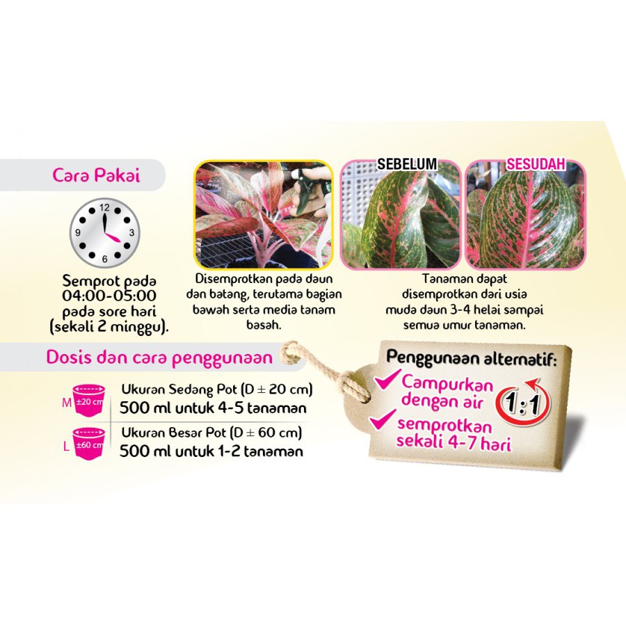 Pupuk Cair PLP Aglaonema / Aglonema &amp; Anthurium Monstera Variegata (Pupuk Langsung Pakai) - GREEN WORLD - 480 ML