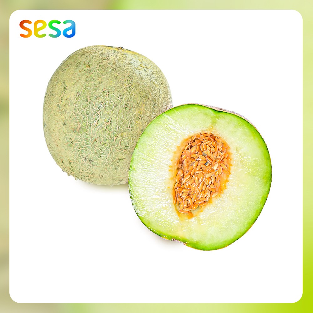 

Melon Sky Rocket /pcs (Melon Madu)