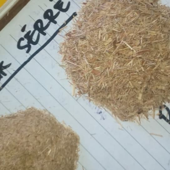 

Bubuk Daun Sereh Giling Kasar 1kg ORGANIK