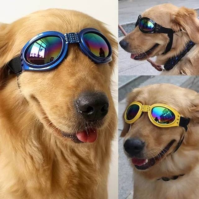 Kacamata Anjing Besar Pet Dog Glases Pet4086 Shopee Indonesia