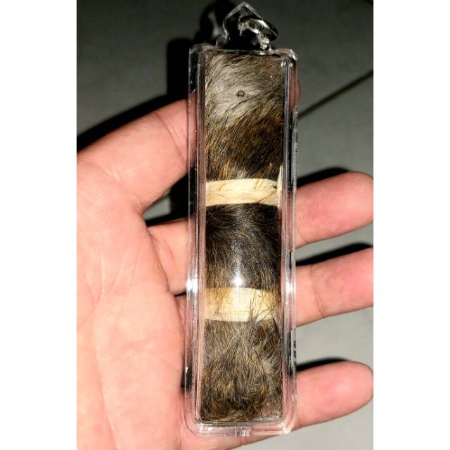 Tiger takrut ajhan sawai