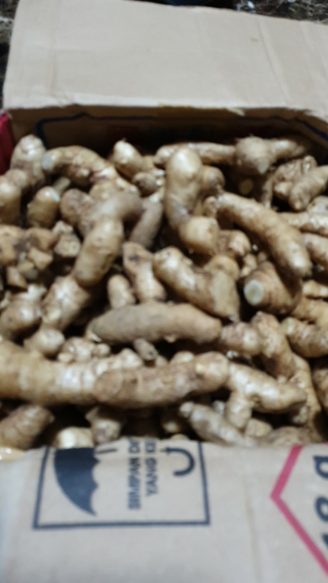 Kunyit Putih/temu Putih Fresh1 Kg