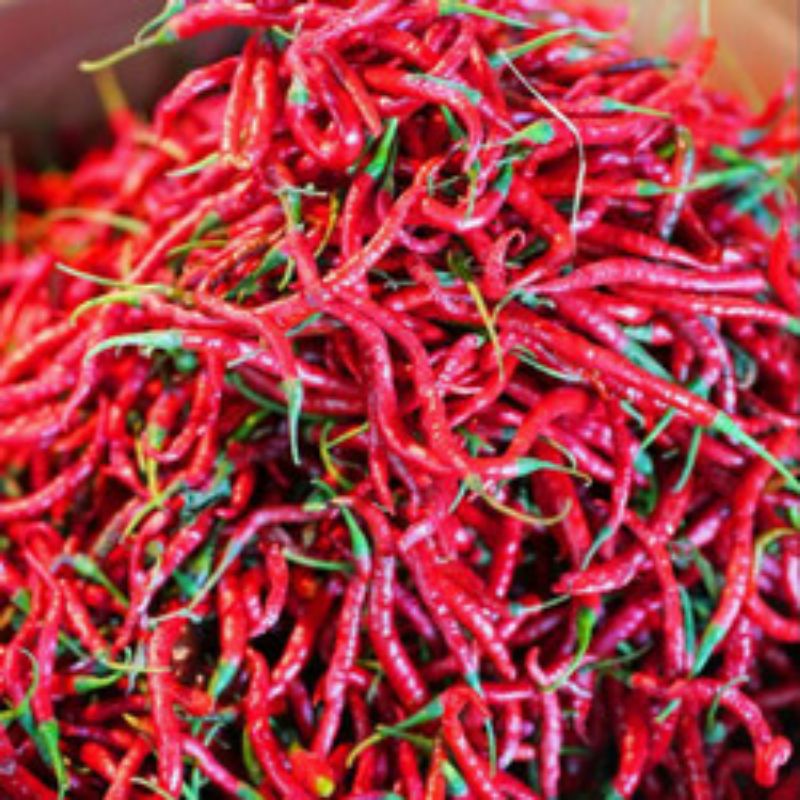 

cabai keriting merah 500 gram