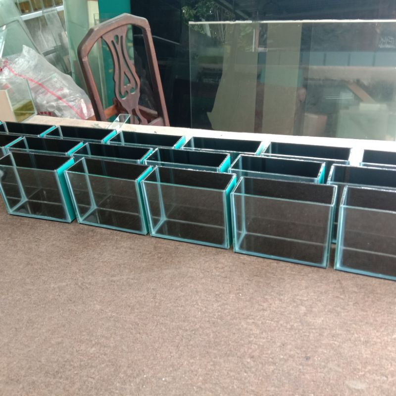 aquarium cupang selfi/lelang