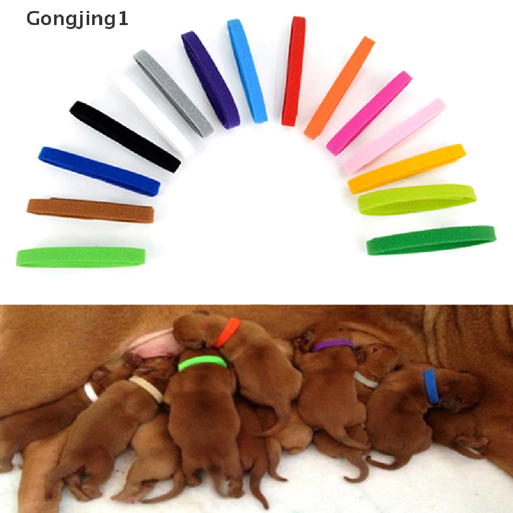 Gongjing1 12pcs / Set Kalung Collar Anak Anjing / Kucing Newborn