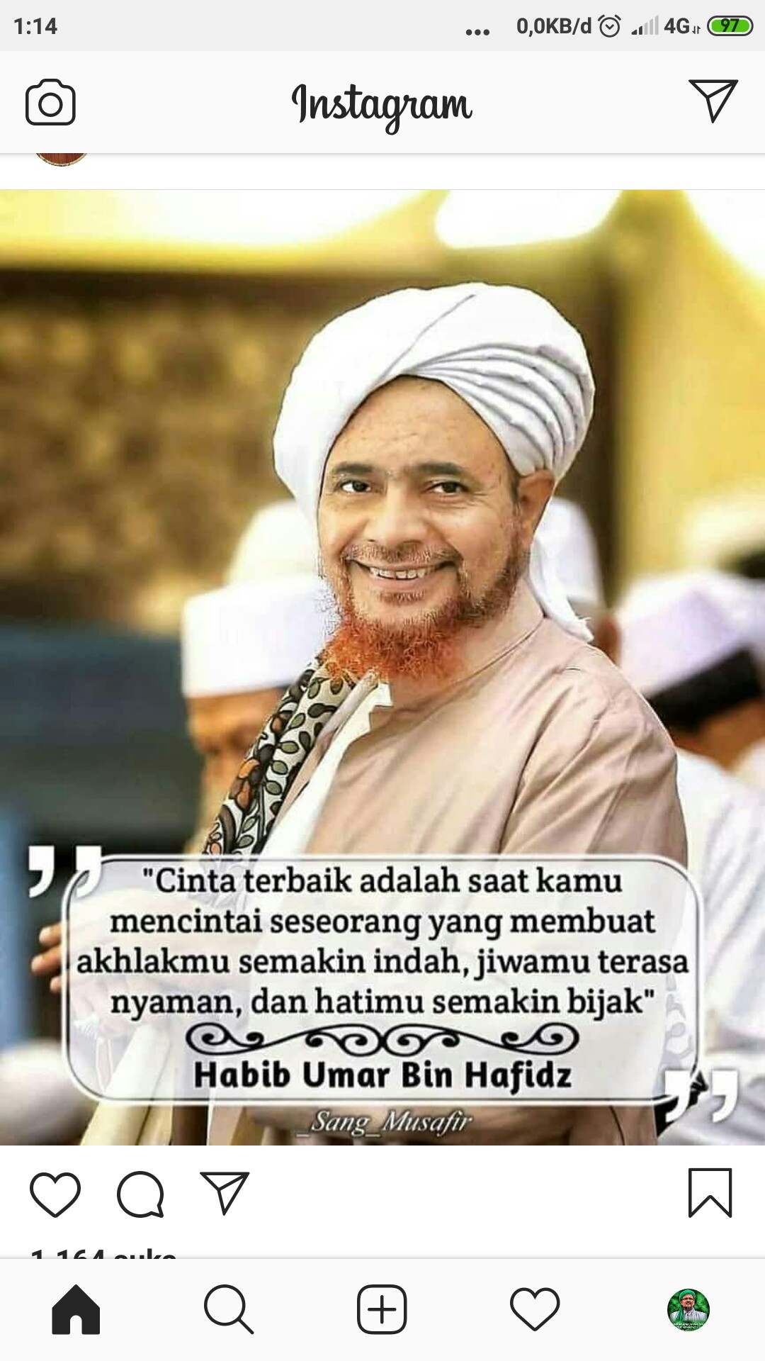 Bibit Bunga Kamboja Adenium Golden Faith