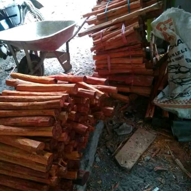 

[ TERBAIK ] Kayu Secang 1 kg Asli 100%