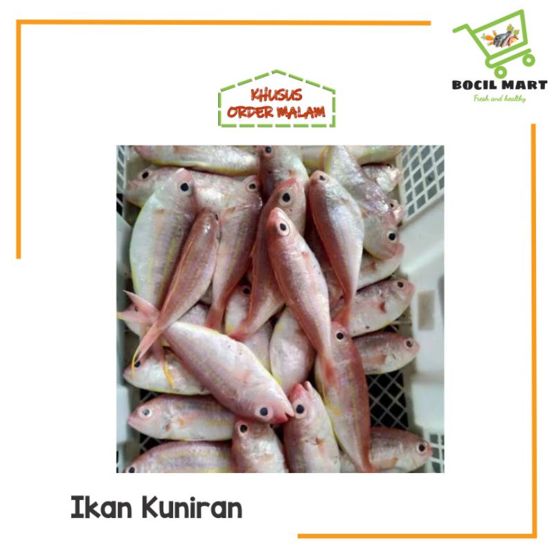 

[BOCIL MART] IKAN KUNIRAN 500GR