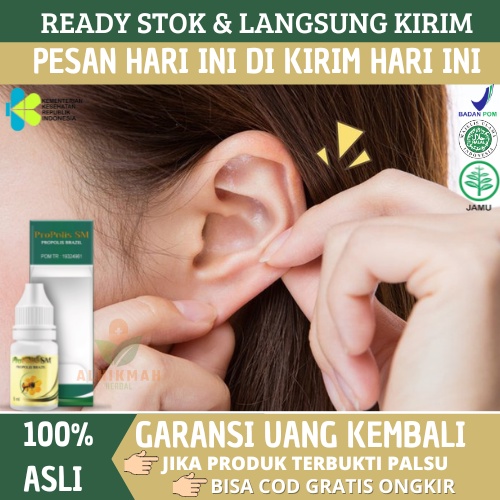 Propolis SM - Obat Sakit Telinga Berair dan Bernanah, Telinga Bengkak Berdengung