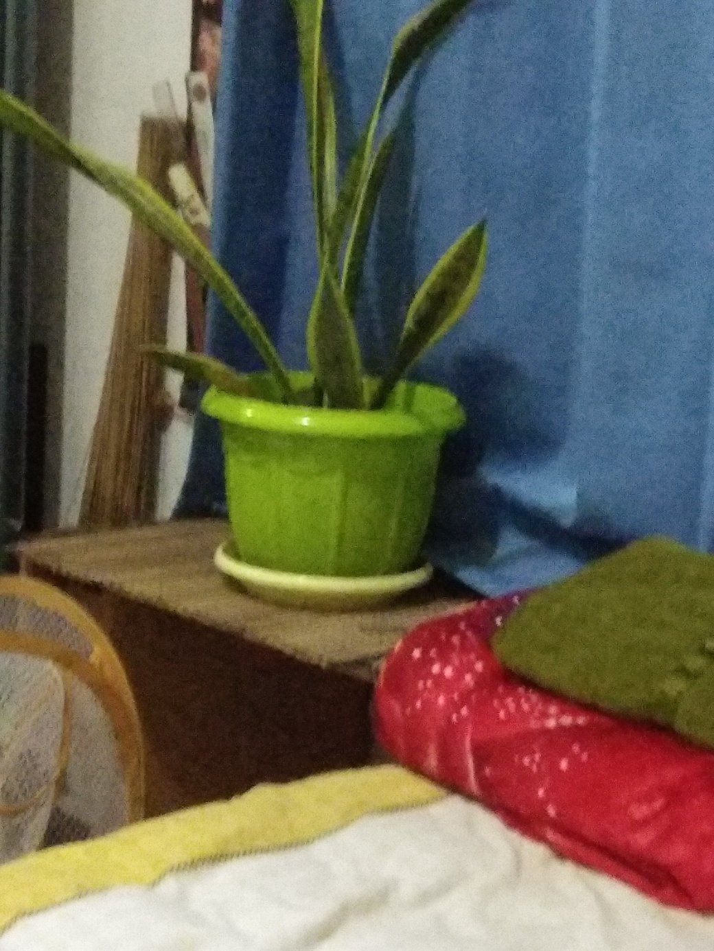 Paranet / Shade Net 75%