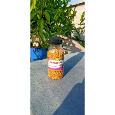 Pupuk Osmocote 14 14 14