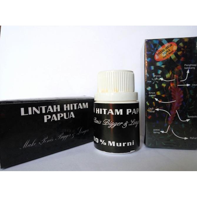 Minyak Lintah Hitam Papua Asli original