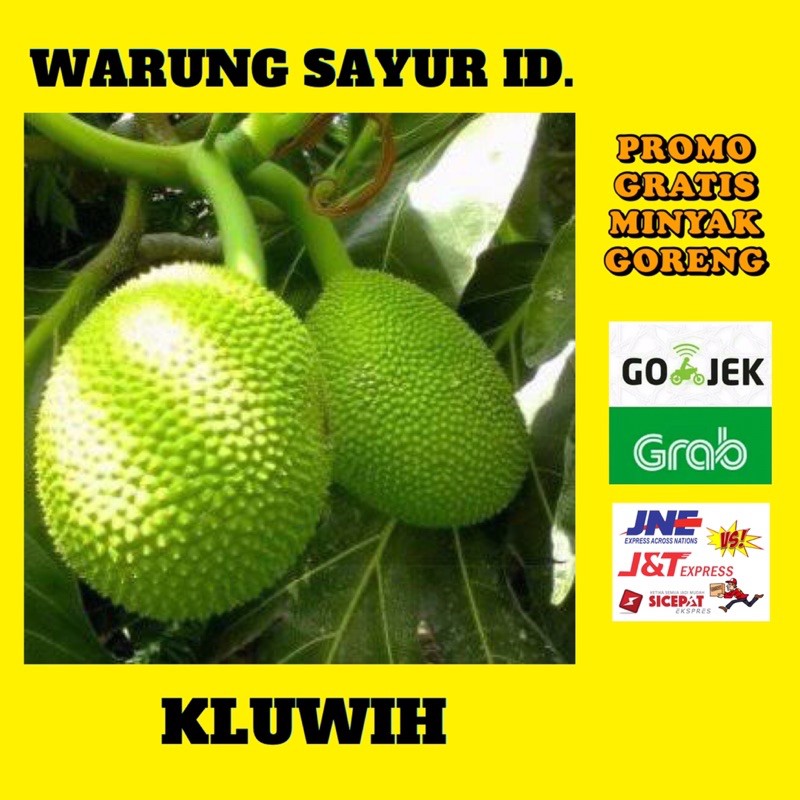 

KLUWIH PER BUAH