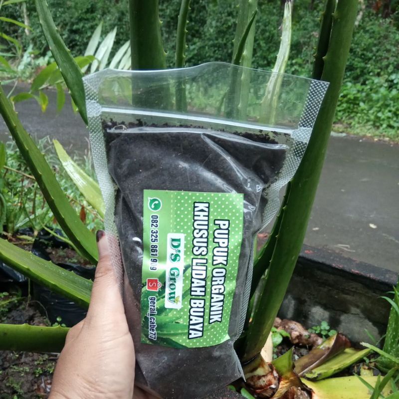 PUPUK ORGANIK KHUSUS TANAMAN LIDAH BUAYA