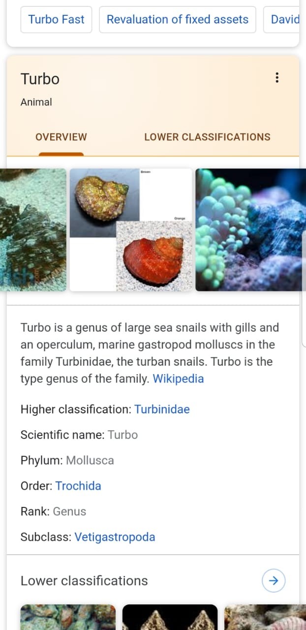 Celemek Masak Waterprof / Apron Masak / Celemek Dapur