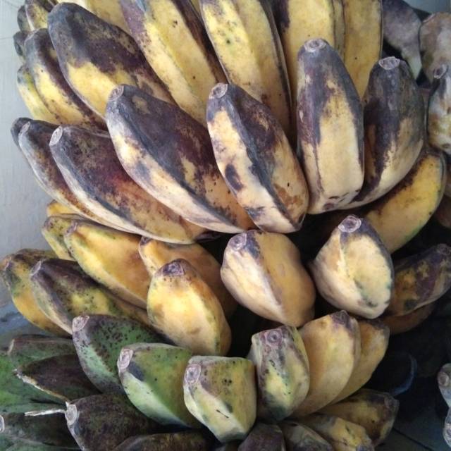 Pisang Kepok