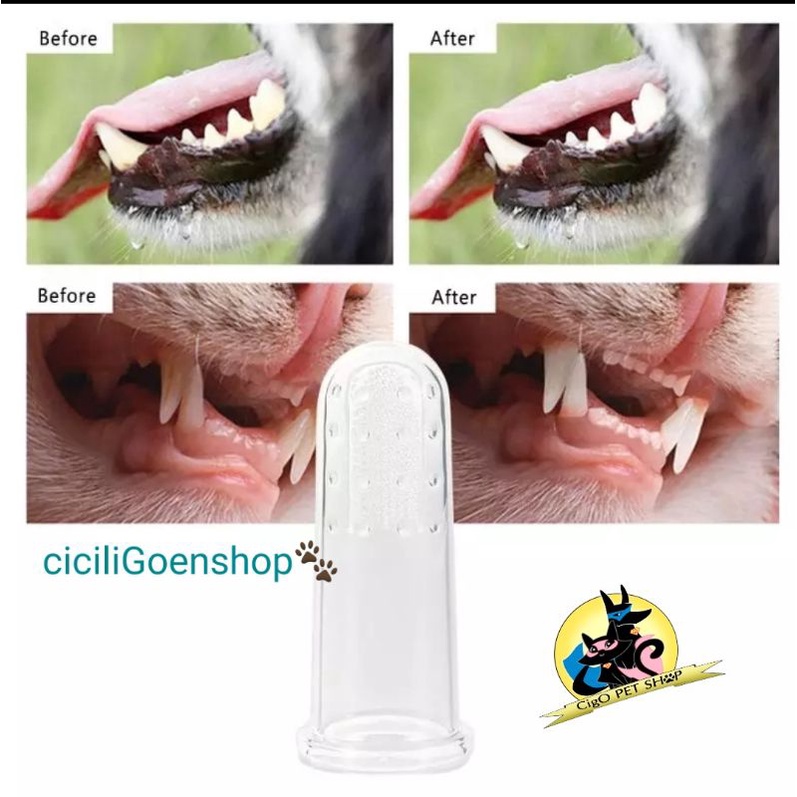 sikat gigi toothbrush bening anjing kucing musang lentur