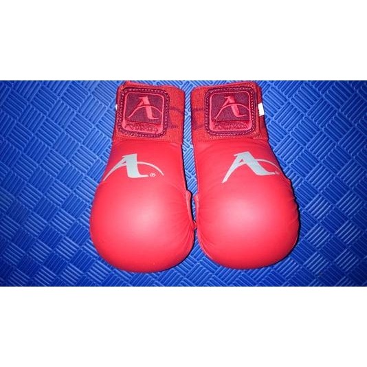 ARAWAZA Hand PROTECTOR (Gloves) - WKF Style