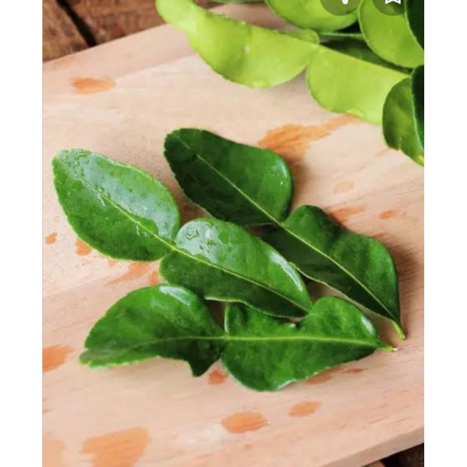 

Daun jeruk bumbu segar