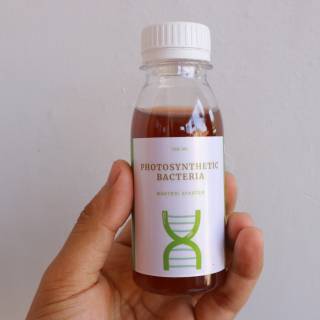 NANAO Bakteri Starter Cair Aquascape Indonesia