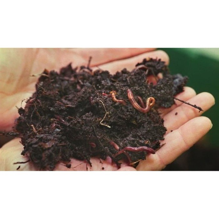 Pupuk Organik / Kascing / Kompos Cacing Vermicompost KERING -10 kg