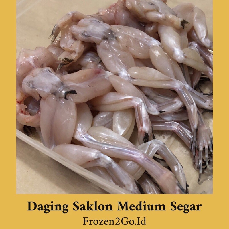 

READY STOCK DAGING SAKLON MEDIUM (12 EKOR-14 EKOR)