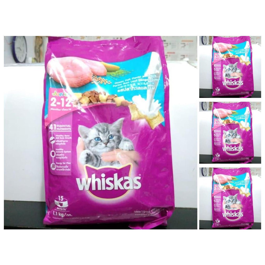whiskas junior 2 12 bulan 1.1kg makanan kucing