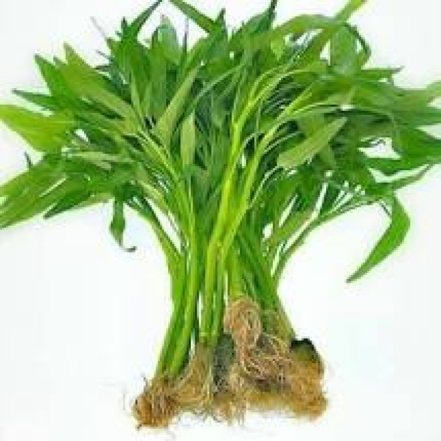 

KIRIM BESOK Kangkung Ikat
