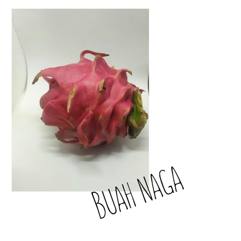 buah naga 1kg