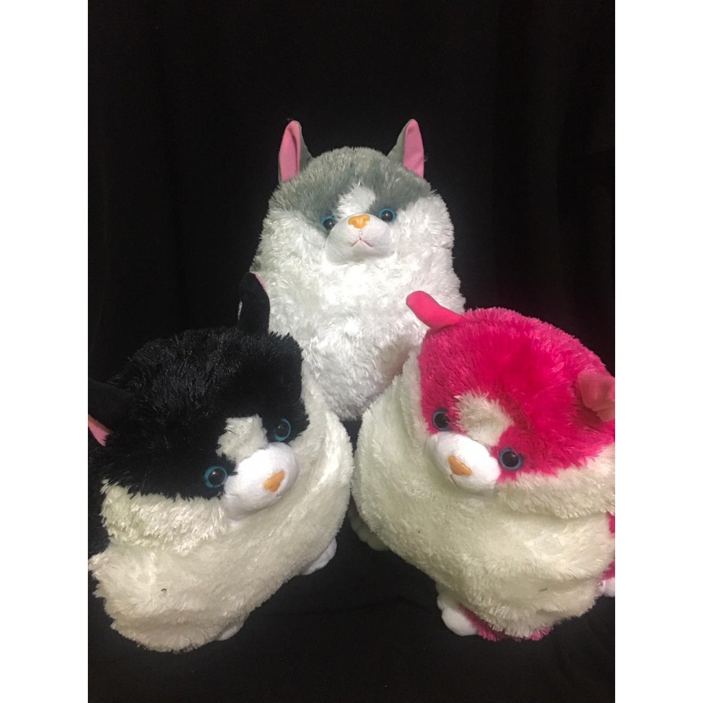 Boneka Kucing Gendut Lucu